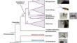 Microbial symbionts of hymenopteran parasitoids: an effective tool for next-generation crop protection