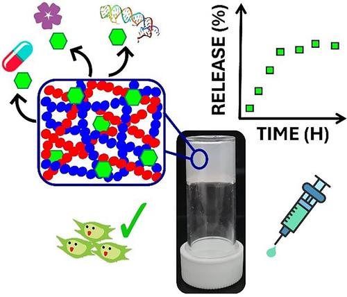 Low-molecular-weight gels from amino acid and peptide derivatives for controlled release and delivery.