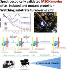 Spectroscopically Validated pH-dependent MSOX Movies Provide Detailed Mechanism of Copper Nitrite Reductases