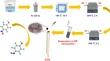 Tungsten phosphide: a high-performance catalyst for determination of p-nitrophenol, a hazardous water pollutant