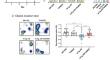 Enhanced hippocampal TIAM2S expression alleviates cognitive deficits in Alzheimer's disease model mice.