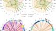 Regulation of Common Early and Late Stress Responses in Rice by Transcriptional and Antioxidant Mechanisms Under Salt Stress