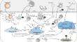 Immunotherapy in the Context of Aortic Valve Diseases.