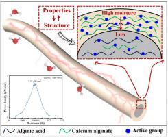 Alginate/multi-wall carbon nanotube fiber-based moist-electric generator with enhanced performance by constructing radial heterogenous structure