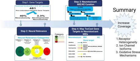 Identification of neural-relevant toxcast high-throughput assay intended gene targets: Applicability to neurotoxicity and neurotoxicant putative molecular initiating events