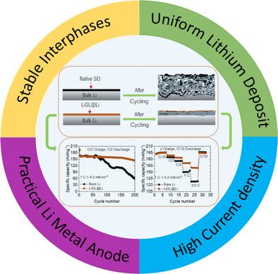 Lithicone-Protected Lithium Metal Anodes for Lithium Metal Batteries with Nickel-Rich Cathode Materials