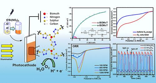 Bismuth(III) Coordination Linkage with Dimercaptothiadiazole: A p-Type Metallopolymer Photocathode Stable in Protic Electrolytes