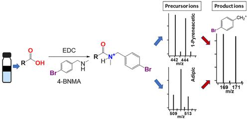 Selective Profiling of Carboxylic Acid in Crude Oil by Halogen Labeling Combined with Liquid Chromatography and High-Resolution Mass Spectrometry.