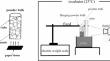 Water uptake by freeze-dried potato and soybean powders: experiments and simulations