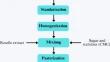 Effect of pH and temperature on the stability of the natural dye from the roselle flower (Hibiscus sabdariffa L.) and its application in flavored milk