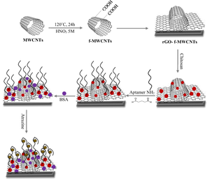 Label-Free Determination of Atrazine Using a Novel Electrochemical Aptasensor Based on Multiwalled Carbon Nanotube/Graphene Oxide Nanocomposite and Chitosan