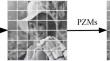 NSST Domain Statistical Watermark Decoder Using Local Low-Order PZMs Magnitudes and Student’s-t Mixture Model
