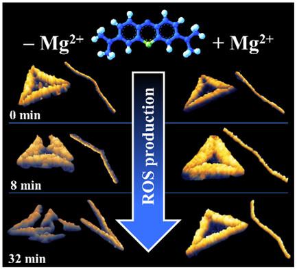 Ion-Dependent Stability of DNA Origami Nanostructures in the Presence of Photo-Generated Reactive Oxygen Species