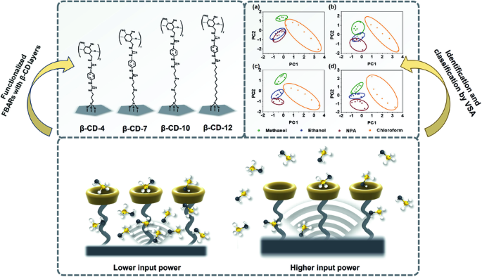 Investigation of sorptive interactions between volatile organic compounds and supramolecules at dynamic oscillation using bulk acoustic wave resonator virtual sensor arrays.