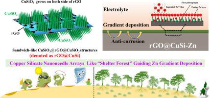 Copper Silicate Nanoneedle Arrays on Reduced Graphene Oxide Like “Shelter Forest” Guiding Zn Gradient Deposition