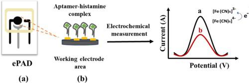 Aptasensor platform based on electrochemical Paper-Based analytical device for histamine detection