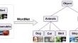 Hierarchical multi-granularity classification based on bidirectional knowledge transfer