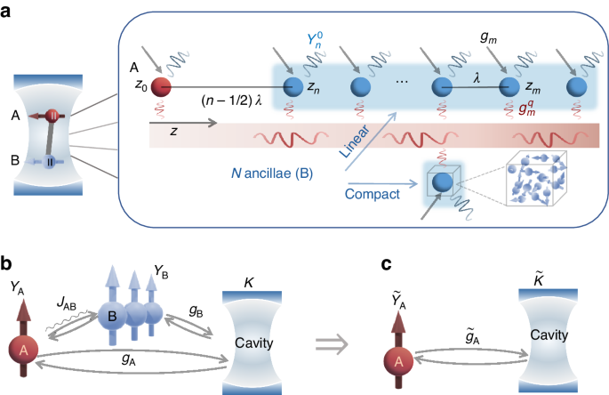 Tunable single emitter-cavity coupling strength through waveguide-assisted energy quantum transfer.