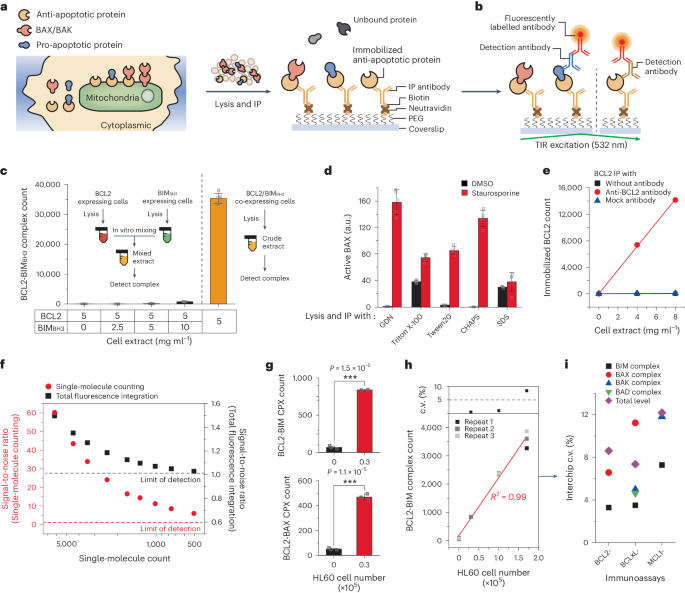 Profiling protein–protein interactions to predict the efficacy of B-cell-lymphoma-2-homology-3 mimetics for acute myeloid leukaemia