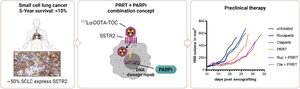 Combining [<sup>177</sup>Lu]Lu-DOTA-TOC PRRT with PARP inhibitors to enhance treatment efficacy in small cell lung cancer.