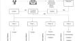 A Parsimonious Tree Augmented Naive Bayes Model for Exploring Colorectal Cancer Survival Factors and Their Conditional Interrelations