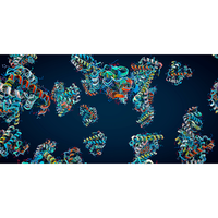 Predicting Heteropolymer Interactions: Demixing and Hypermixing of Disordered Protein Sequences