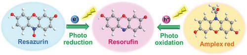 Nanometric-Mapping and In Situ Quantification of Site-specific Photoredox Activities on 2D Nanoplates