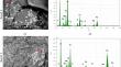 Exploring Basalt: A Methodological Framework for Analysing Wear Traces on Basalt Tools