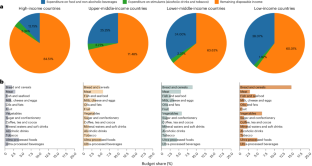 Global food expenditure patterns diverge between low-income and high-income countries