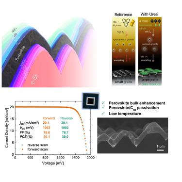 Tailoring perovskite crystallization and interfacial passivation in efficient, fully textured perovskite silicon tandem solar cells