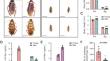 Sex-biased juvenile hormone and gene expression underlie sex difference of stress resistance in the American cockroach