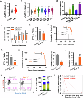 Nudt15-mediated inflammatory signaling contributes to divergent outcomes in leukemogenesis and hematopoiesis