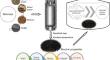 Effects of biochar on anaerobic digestion: a review