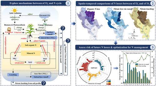 Assessing the Response Mechanisms of Elevated CO2 Concentration on Various Forms of Nitrogen Losses in the Golden Corn Belt