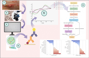 Enhancing electrochemical detection through machine learning-driven prediction for canine mammary tumor biomarker with green silver nanoparticles.