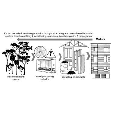 Transforming the tropical timber industry could be the key to realizing the potential of forests and forest products