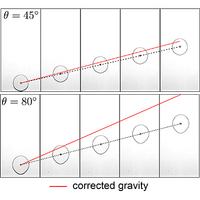 Bubble dynamics in an inclined Hele-Shaw cell