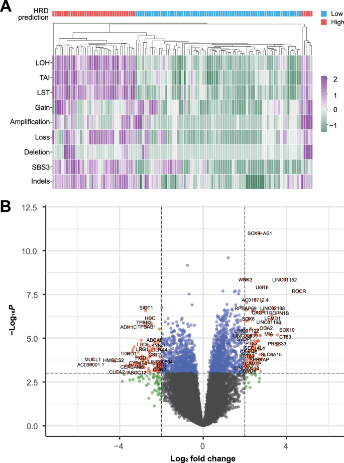 Gene expression signature for predicting homologous recombination deficiency in triple-negative breast cancer.