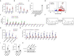 GPR34 senses demyelination to promote neuroinflammation and pathologies.