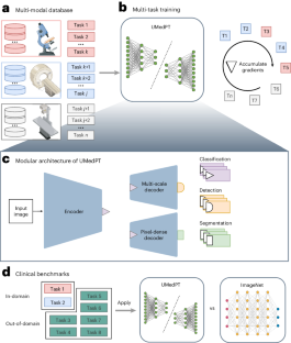 A multi-task learning strategy to pretrain models for medical image analysis