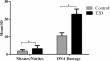 Association of FAS -670 G > A and FASLG -844 T > C polymorphisms and their circulating serum soluble markers with risk of type 2 diabetes: a case control study