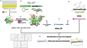 Argonaute protein assisted drug discovery for miRNA-181c-5p and target gene ATM translation repression: a computational approach.