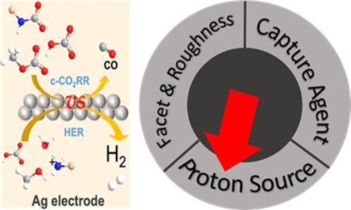 Electroreduction of Captured CO<sub>2</sub> on Silver Catalysts: Influence of the Capture Agent and Proton Source.