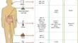 Imaging Techniques and Biochemical Biomarkers: New Insights into Diagnosis of Pancreatic Cancer.