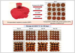 Properties of encapsulated raspberry powder and its efficacy for improving the color stability and amino acid composition of pastırma cemen pastes with different pH during long term cold-storage