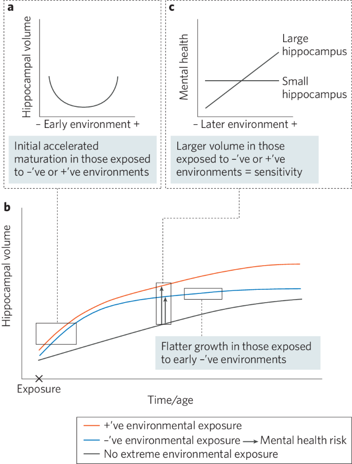 Environmental and neurodevelopmental contributors to youth mental illness.