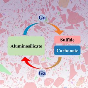 Study on the Occurrence of Gallium in Gallium-Enriched Coal Gangue and Migration During Thermal Treatment