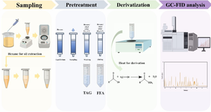 Determination of Free Fatty Acids in Foodstuff by Solid Phase Extraction and Gas Chromatography-Flame Ionization Detection Using H2SO4-MeOH Derivatization