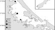 The Effect of Sediment Mud Content on Primary Production in Seagrass and Unvegetated Intertidal Flats