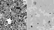 Magnetic Properties of Rare Earth Titanates Ho2Ti2O7 and Yb2Ti2O7 Doped with Y and Bi